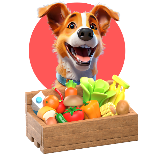 Homemade Food for Dogs in India: Daily Plans, Recipes and Nutritional Tips