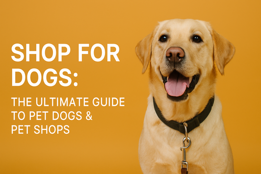 Shop for Dogs: The Ultimate Guide to Finding the Right Products and  Pet Shop in India 2025