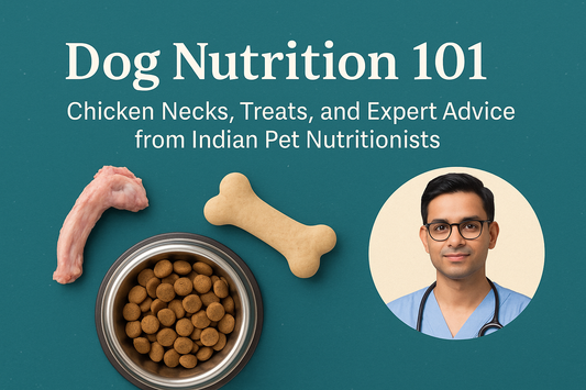 Dog Nutrition 101: Chicken Necks, Treats, and Expert Advice from Indian Pet Nutritionists