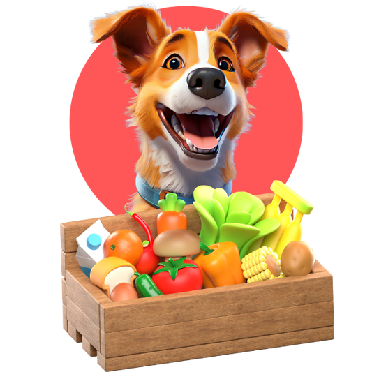 Homemade Food for Dogs in India: Daily Plans, Recipes and Nutritional Tips