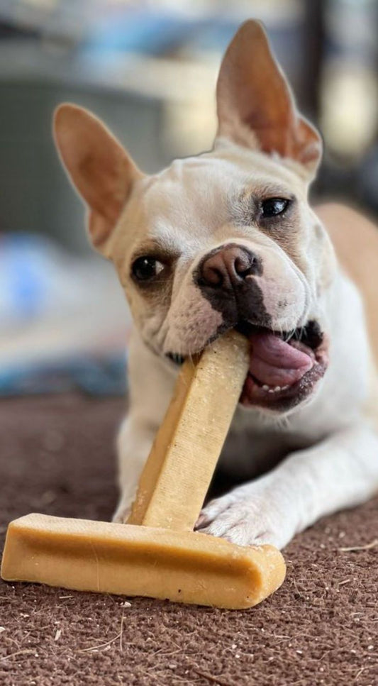 Natural Yak Chew (2 Pcs)