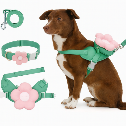Cute Pastel Dog Walking Set